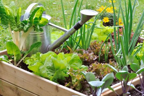 Le compostage et le jardinage au naturel - Chartres Métropole